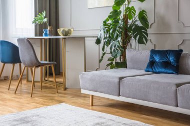 gri ve mavi aranjmanlı kanepe ve masa