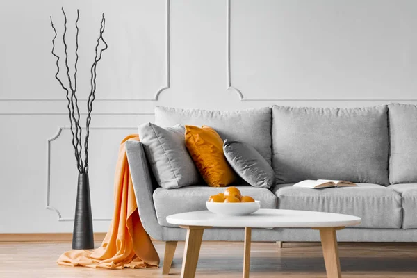 Cabang di sebelah sofa dengan selimut oranye dan bantal di interior ruang tamu. Foto asli — Stok Foto