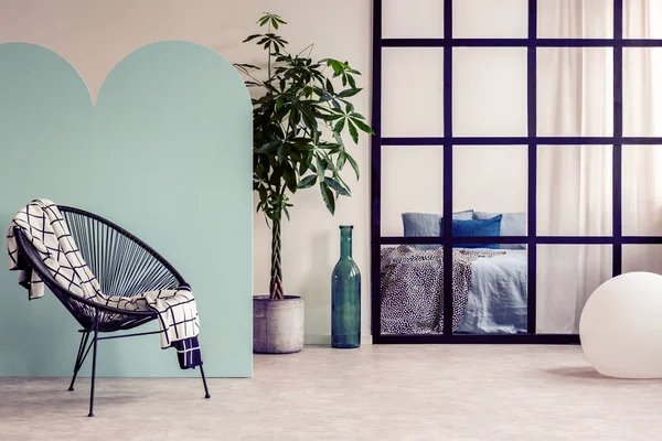 Interior de la sala de estar de moda con pared blanca y azul, planta verde en maceta y silla de moda — Foto de Stock