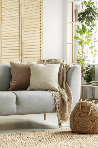 Beżowy poduszki na szarej kanapie w neutralnym pokoju dziennym — Zdjęcie stockowe