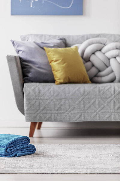 Comfortable grey couch in elegant living room interior