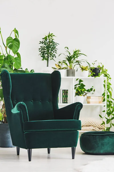 都会のジャングルの白いインテリアで快適なエメラルドグリーンの肘掛け椅子 — ストック写真