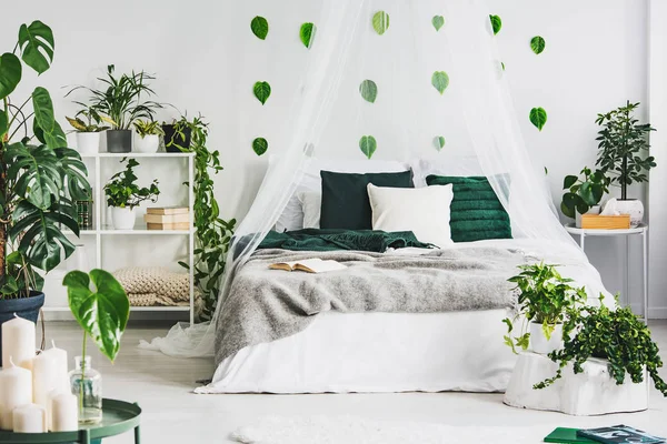 白色的卧室内部，有特大床，城市丛林中，墙上有绿叶 — 图库照片