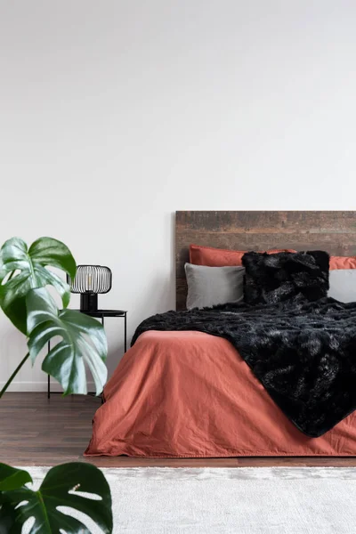 Koraal lakens en zwarte harige deken op houten bed in witte kamer — Stockfoto