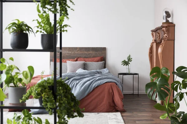 Kamar tidur modern cerah penuh tanaman dan dengan dekorasi coppery — Stok Foto