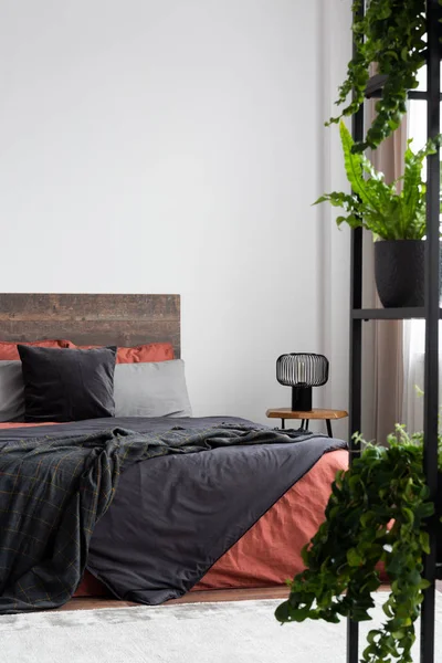 Vitt sovrum med växter, korall och grå sängkläder och tom vägg — Stockfoto