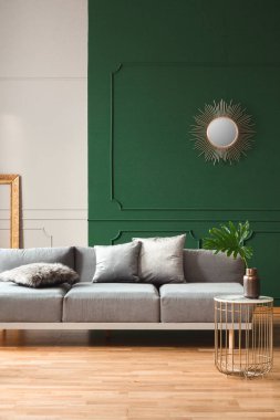 Gri kanepe ve ahşap zemin ile şık oturma odası iç kalıplama ile yeşil ve gri duvar