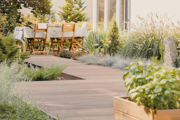 Pflanzen und Holzstühle am Tisch mit Essen auf der Terrasse des Hauses im Sommer — Stockfoto