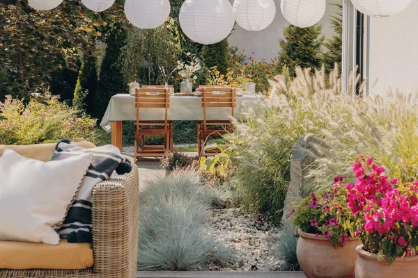 Plantas junto al sofá de ratán con almohadas en la terraza con sillas de madera en la mesa — Foto de Stock