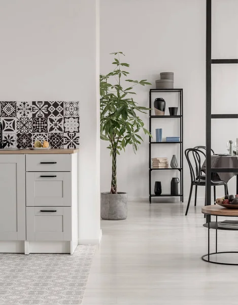 Элегантный интерьер кухни и столовой с черно-белым дизайном и заводом в бетонном котле — стоковое фото