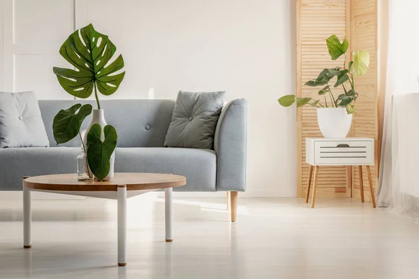Elegant vardagsrum i minimalistisk skandinavisk stil — Stockfoto