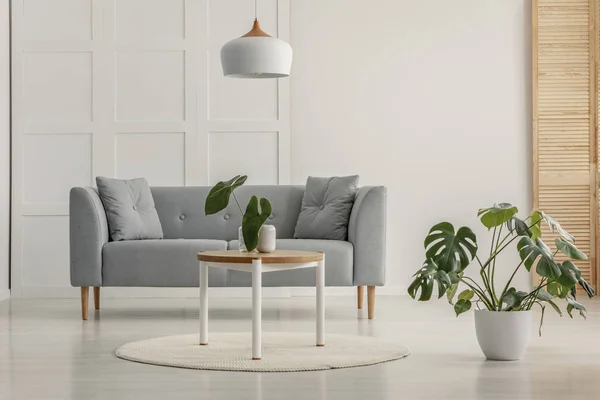 Pflanzen im minimalen modernen Wohnzimmerinterieur — Stockfoto
