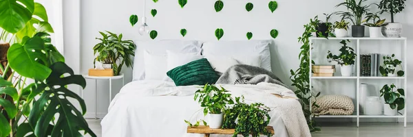 Panoramablick auf weißes und grünes Schlafzimmer mit King Size-Bett und Stadtdschungel — Stockfoto