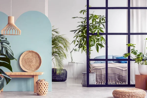 Jungle urbaine dans un intérieur de chambre à coucher blanc et bleu lumineux avec cloison — Photo