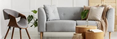 Gri kanepe ve sandalye ile modern iç panoramik görünümü