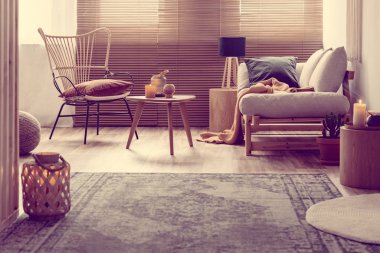 Şık mobilya ile rahat oturma odası iç