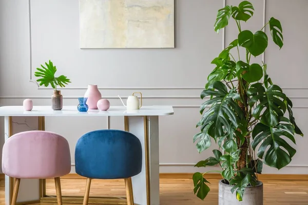 Sillas de color rosa y azul en el interior gris con planta verde — Foto de Stock