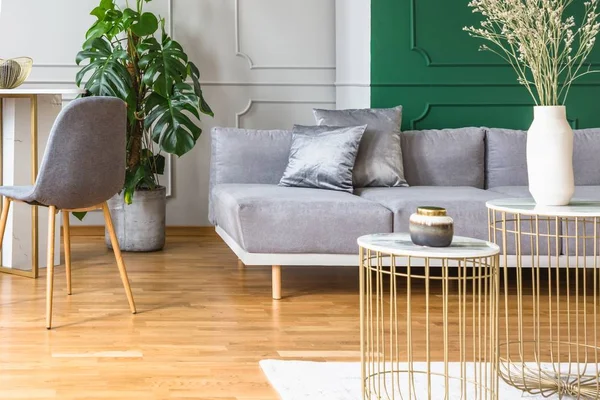 Elegante sala de estar cinza e verde com detalhes dourados — Fotografia de Stock