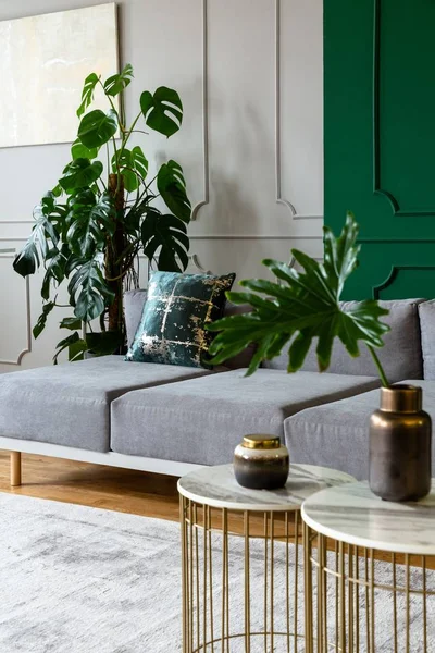 Sala de estar gris y verde con cómodo sofá — Foto de Stock