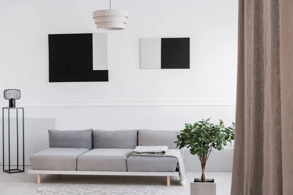 Monokróm szürke, fehér és fekete nappali belső kanapéval — Stock Fotó
