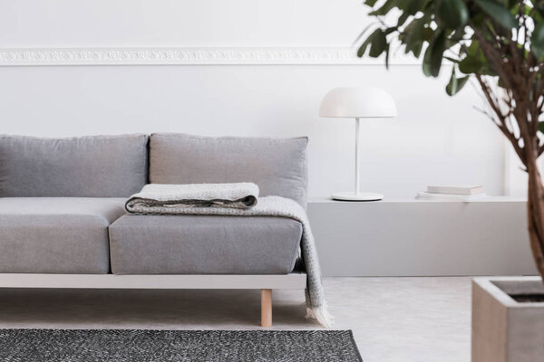 Close-up of trendy living room interior with white wall, painting and grey settee