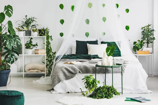 Городские джунгли в интерьере белой спальни с зелеными листьями на пустой стене — стоковое фото