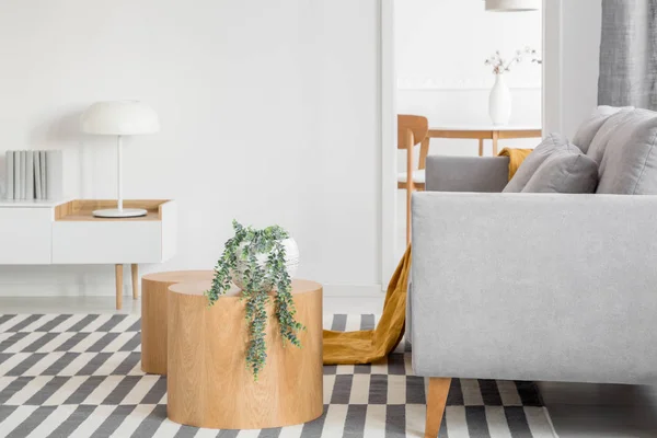 Salon et salle à manger à aire ouverte tendance intérieur avec canapé gris et mobilier en bois — Photo