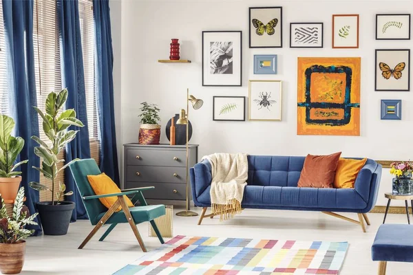 Cuscino arancione sulla poltrona verde vicino al divano blu in livi colorato — Foto Stock
