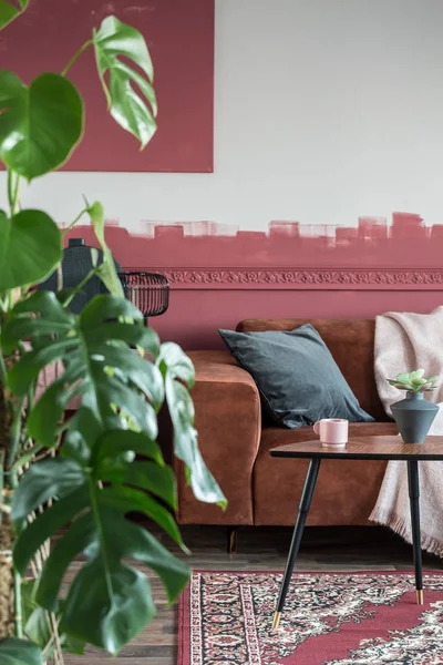 Монстр растение в красно-белом интерьере гостиной с диваном и деревянным журнальным столиком — стоковое фото