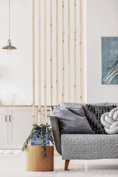 Kis stúdió apartman modern konyhával és szürke settee, valós fotó — Stock Fotó