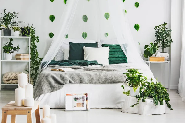 Gezellige kussens op comfortabele grote King size bed in lichte slaapkamer interieur in elegant appartement — Stockfoto