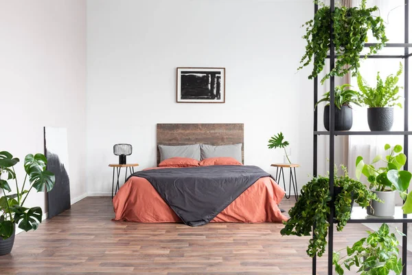 Poster posteriore sulla parete bianca di elegante camera da letto interna con letto king size con testiera in legno e giungla urbana su scaffale metallico — Foto Stock