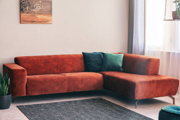 Autumn colored interior of classy living room in modern apartment