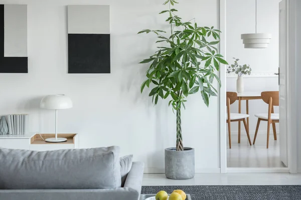 Біла індустріальна лампа на консольному столі в яскравому інтер'єрі вітальні з рослинами і сірим зручним диваном — стокове фото