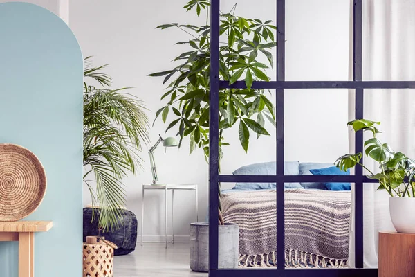 Komfortables King Size-Bett mit blauer Bettwäsche in hellem, offenem Studio-Apartment mit Trennwand — Stockfoto