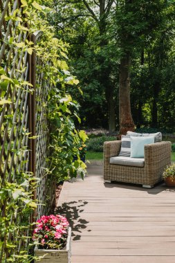 Trendy banliyö ev ahşap terasta yastık ile rahat hasır koltuk