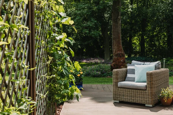 Комфортне плетене крісло з подушками на дерев'яній терасі модного заміського будинку — стокове фото