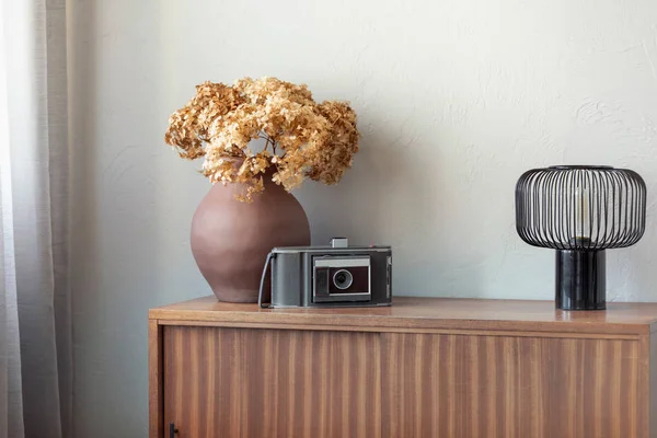 Dry flowers in brown pottery vase next to old vintage camera and industrial lamp on retro wooden cabinet