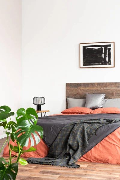 Monster flower in simple bedroom interior with empty white wall — Stock Photo, Image