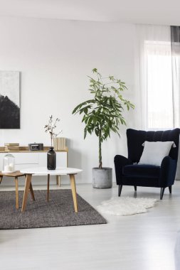 Rahat oturma odası iç boş duvar üzerinde siyah beyaz soyut boyama