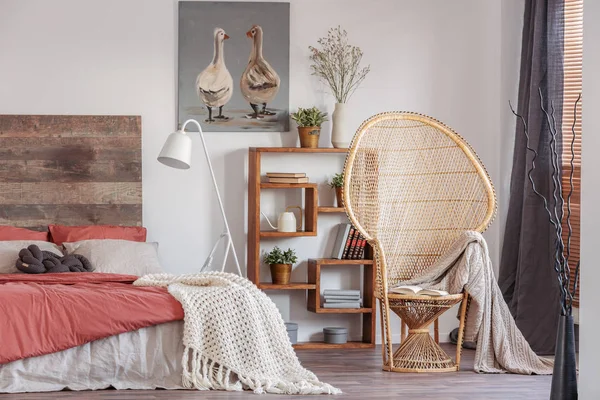 Wicker peacock chair with blanket in fashionable rustic bedroom with bookshelf and king size bed with bedhead — Stock Photo, Image