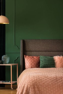 Pastel pembe ve zümrüt rahat kral boy yatak yatak başı, kopya alanı boş duvar ile yatak takımları