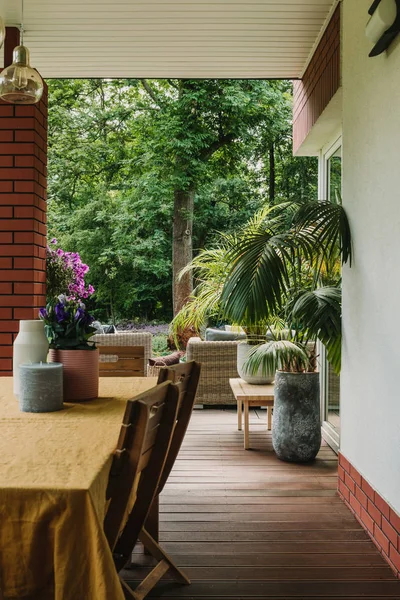 Lote de plantas verdes en gran jardín hermoso con muebles de moda en la terraza — Foto de Stock