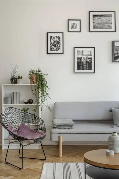 Элегантный интерьер гостиной со стулом, диваном и книжной полкой — стоковое фото