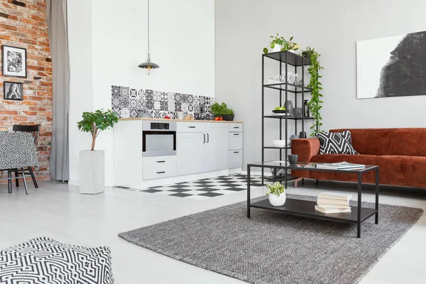 Apartamento Estudio Espacio Abierto Con Cocina Sala Estar —  Fotos de Stock