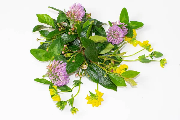 Beyaz arka planda yaz çiçekleri