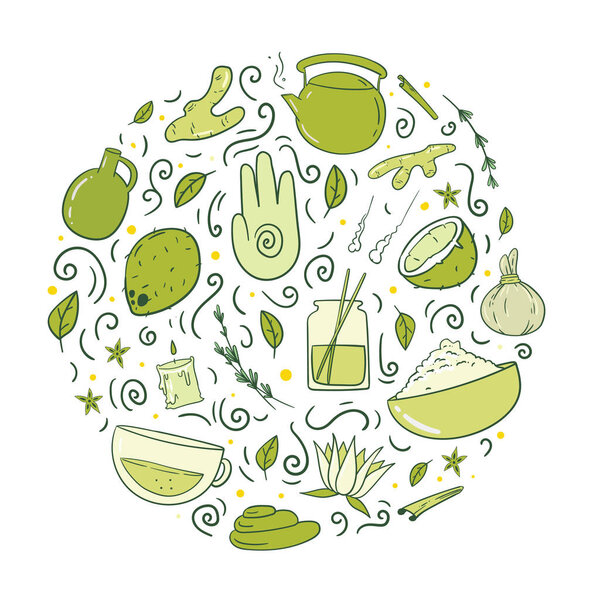 vector illustration of organic food