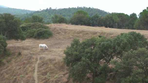 Des hors-la-loi sur le terrain — Video