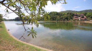 Phuket, Tayland göl ve söğüt şube görünümü