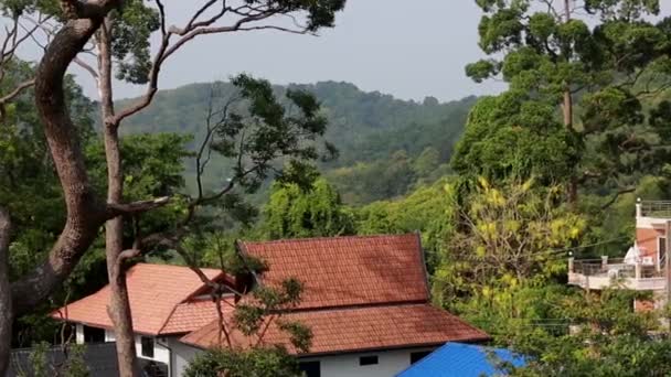 Vista de la ciudad asiática, casas de colores y techo, árboles y cielo durante el día soleado en Phuket, Tailandia — Vídeos de Stock